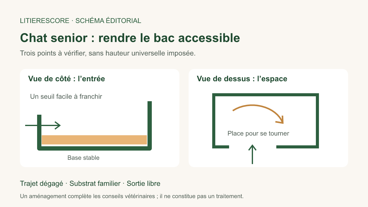 Schéma éditorial : entrée basse, espace intérieur et trajet dégagé pour le bac du chat senior.