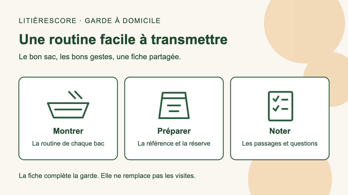 Fiche de garde du chat organisée en trois étapes : montrer la routine, préparer le matériel et noter les passages.